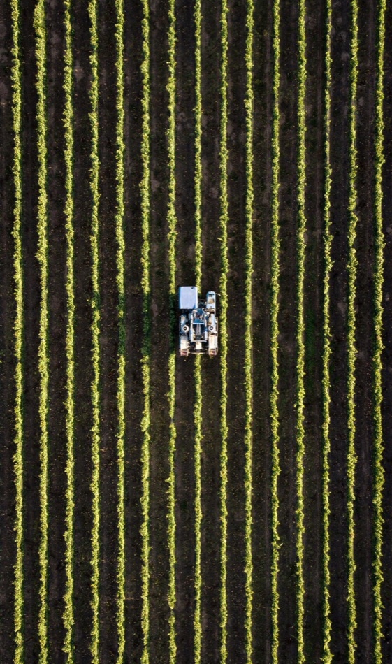 pexels-tomas-anunziata-129267-3876417-2