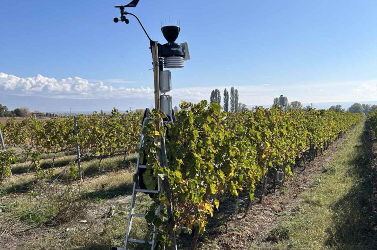 Field Equipment Deployment & Data Collection Begins for Greek Living Earth