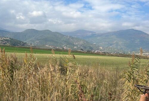 viber_image_2025-11-04_11-09-44-980