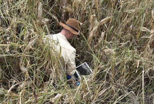 viber_image_2025-11-04_11-09-45-855