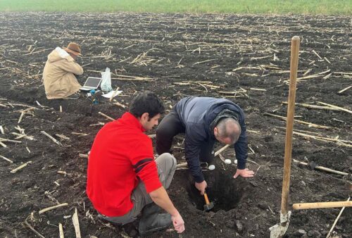 viber_image_2025-11-04_11-10-51-988