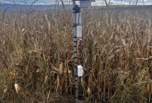 viber_image_2025-11-04_11-10-52-734