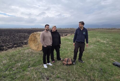 viber_image_2025-11-04_12-33-53-695